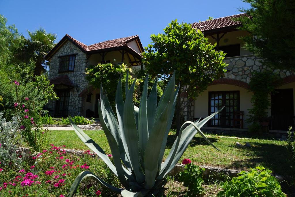 Mountain Lodge Hotel Döğer Köyü Dış mekan fotoğraf