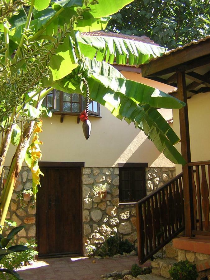 Mountain Lodge Hotel Döğer Köyü Dış mekan fotoğraf